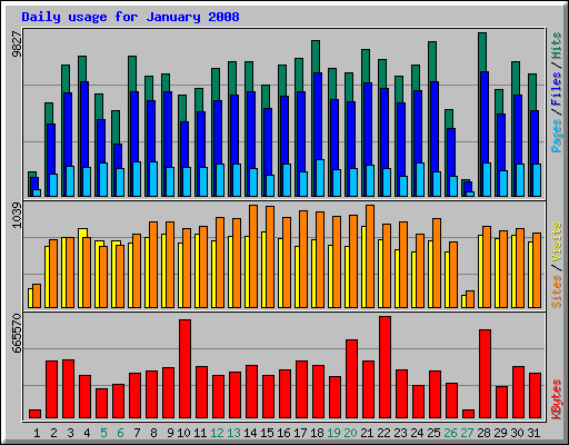 Daily usage for January 2008