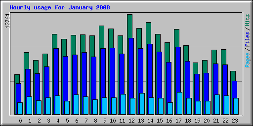 Hourly usage for January 2008